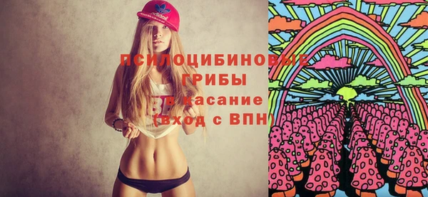гашик Алзамай