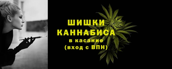 твердый Абаза