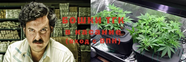 гашик Алзамай