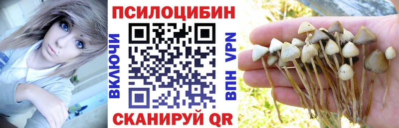блэк спрут ССЫЛКА что такое наркотик Майский Псилоцибиновые грибы прущие грибы